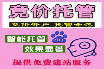 SEO百度推广策略：成功案例解析